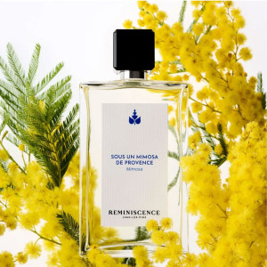 Unter einem Mimosenbaum der Provence - Intensives Eau de Toilette